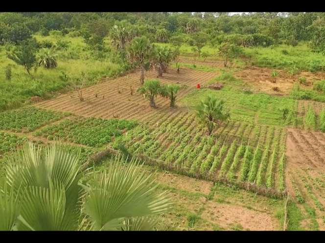 COP 22 : l’Afrique vise l’indépendance alimentaire grâce à sa paysannerie