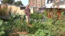 En pleine ville, il cultive 300 kilos de légumes par an