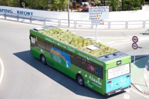 « Mueverte en verde »: les bus madrilènes bientôt équipés de toits végétalisés !