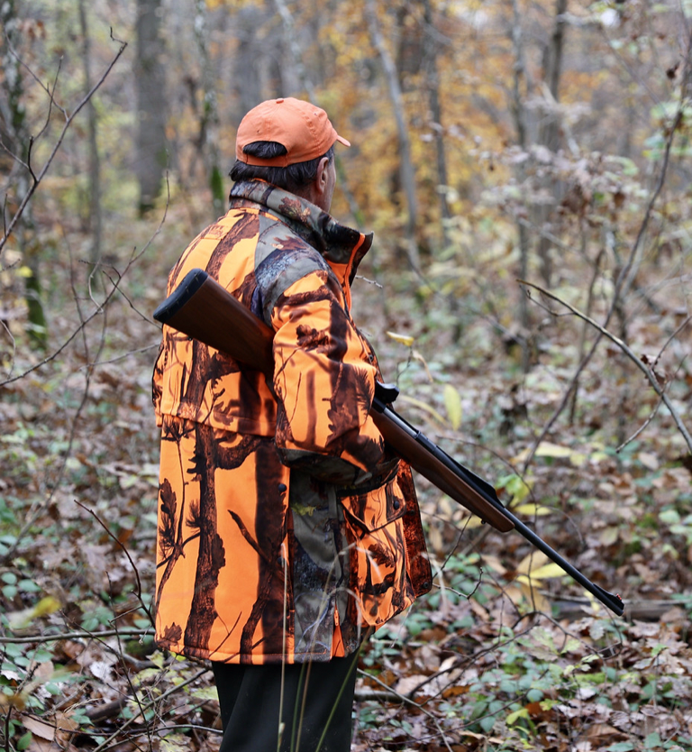 Dans une commune des Vosges, la chasse est désormais interdite le dimanche après-midi