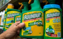 A partir du 1er janvier 2019 pour jardiner chez soi il sera interdit d’utiliser des pesticides de synthèse.