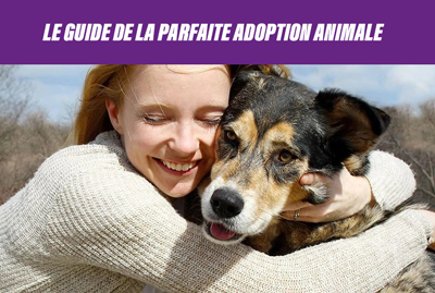 https://www.homeoanimo.com/blogs/sante-animale/le-guide-de-la-parfaite-adoption-animal